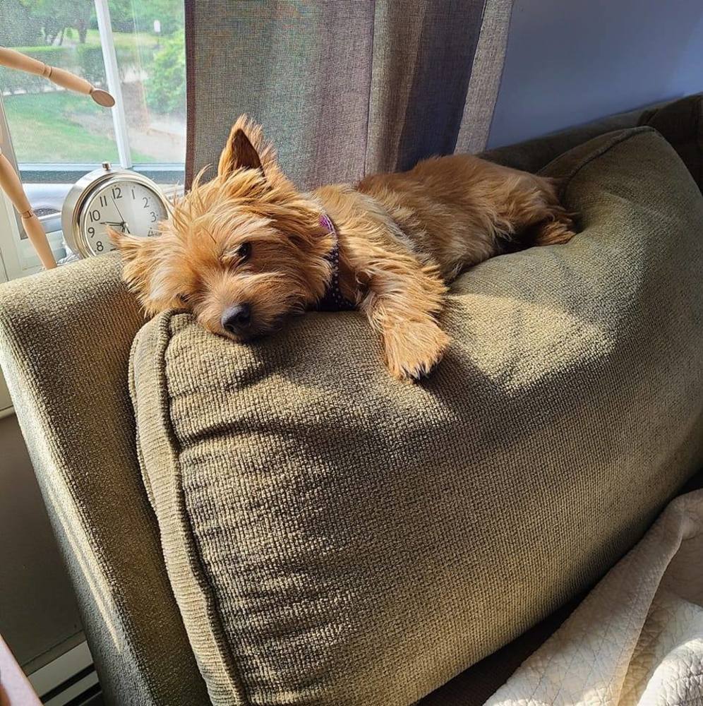 Meet your Posher, Daniel